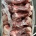 多肉后棒骨