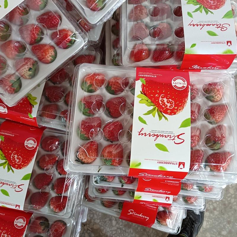 大凉山冬草莓