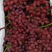 克伦生葡萄，红无籽葡萄。对接各大商超，团购