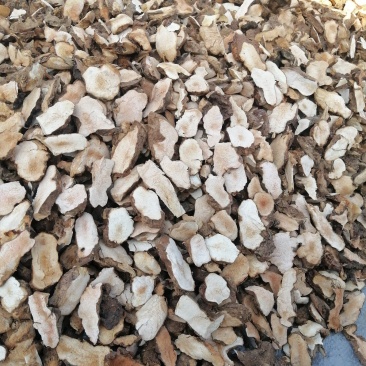 广东本地白肉土茯苓手工切片（现货大量批发，批发）