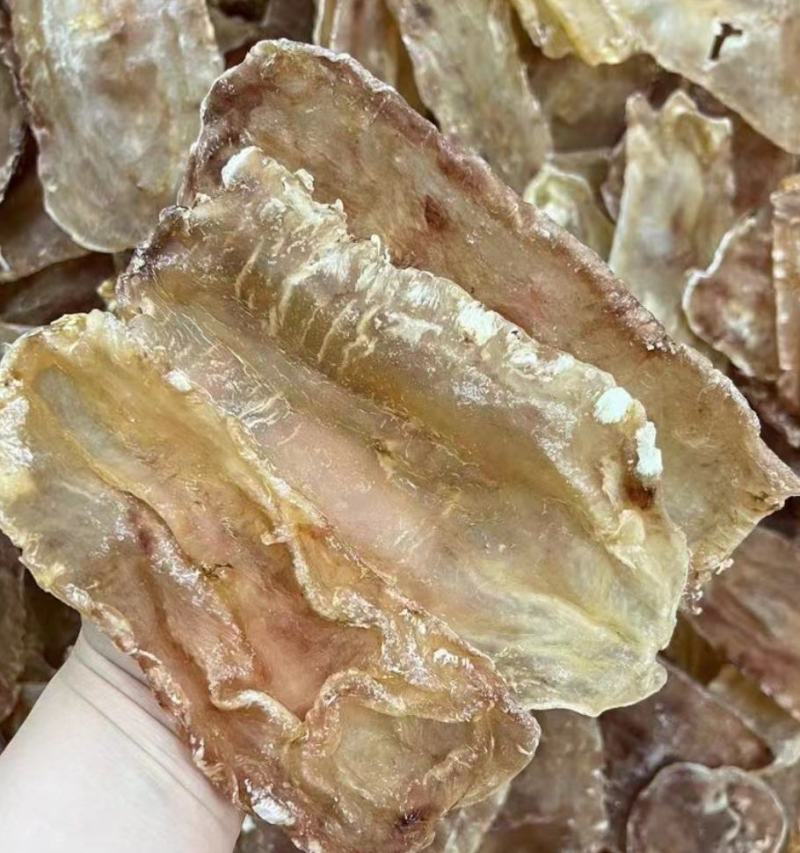 批发【厚肉鳕鱼胶】产于新西兰深海无污染海域0腥味肉厚实