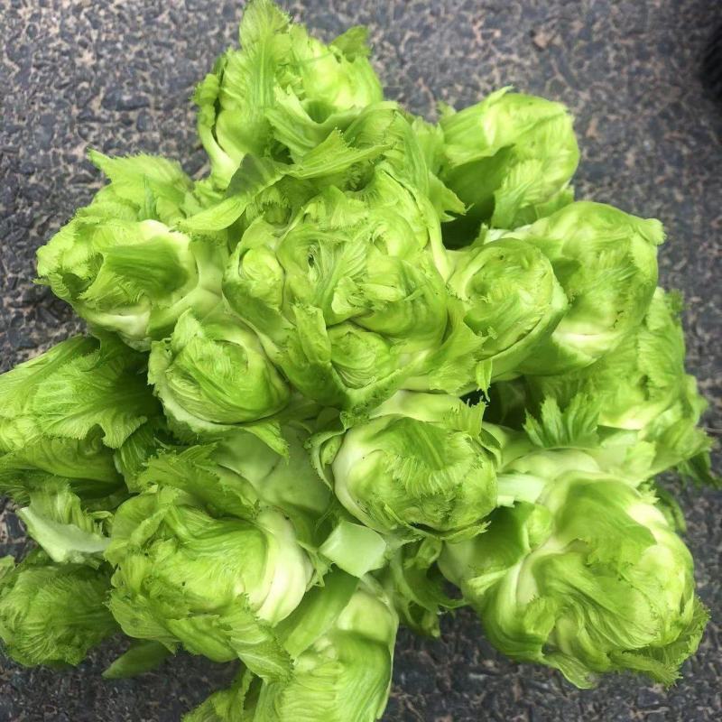 广汉市特早熟小心多儿儿菜，鲜嫩多汁，现砍现卖，无其费用