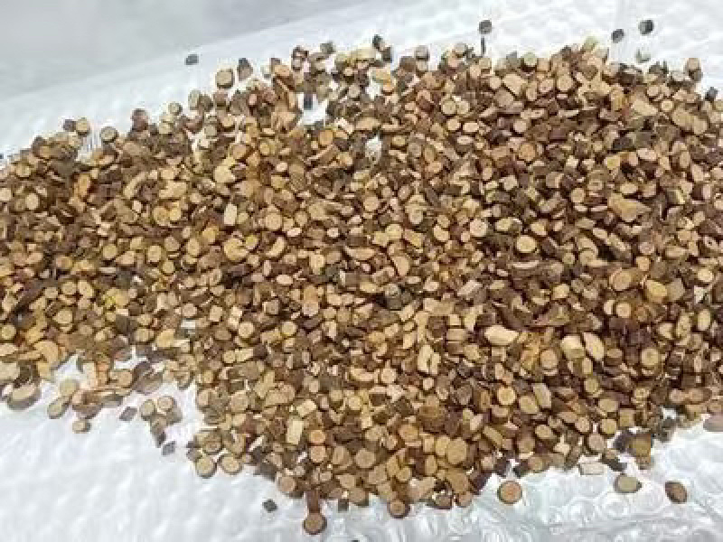 广西野生桂枝细嫩枝条中药材桂枝尖细桂枝尖批发
