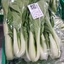 土白菜