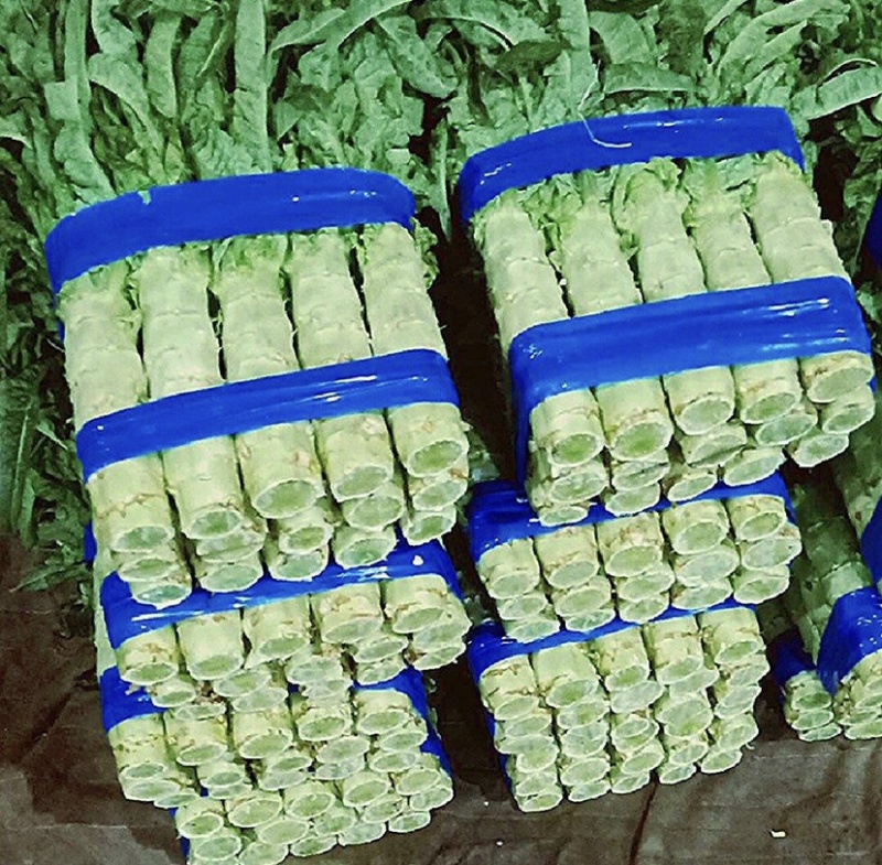 山东红叶莴笋田间加工质量好价格低商超品质