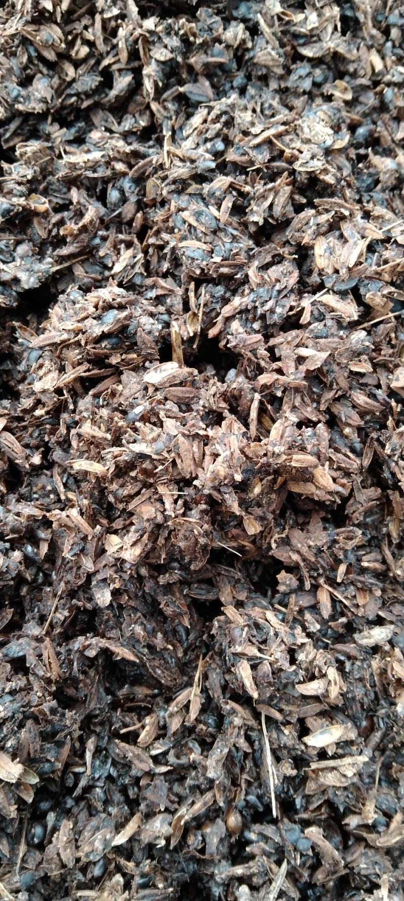 芝麻香酒糟