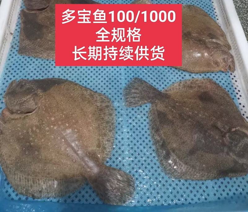 多宝鱼