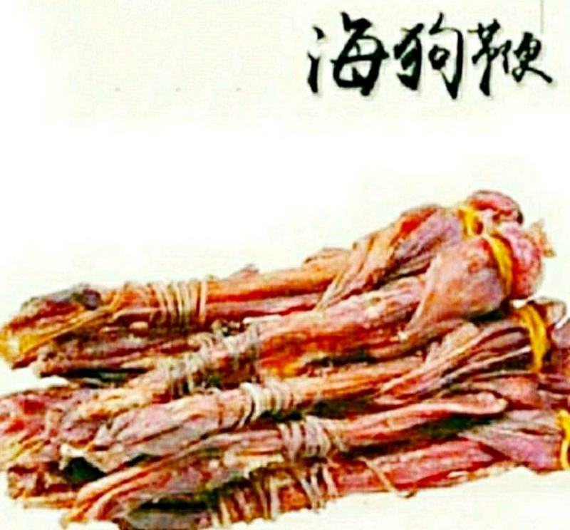 正宗海狗鞭泡酒煲汤男性养生滋补珍品（干货包邮）