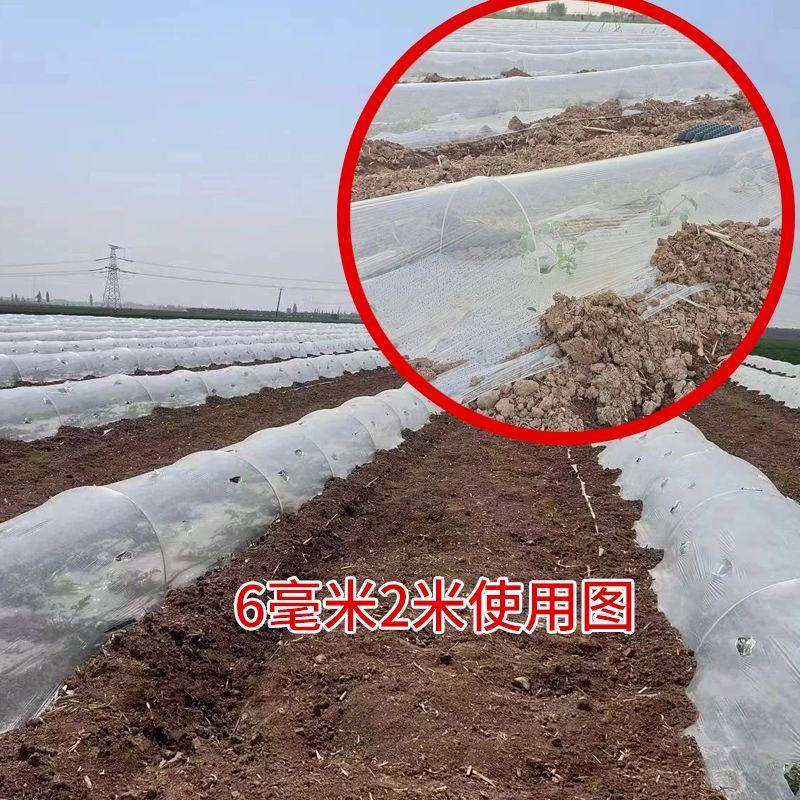 玻璃纤维杆菜棚骨架西瓜弹力棒葡萄避雨棚保温棚支撑杆弓子