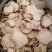 魔芋干片，魔芋精粉原料