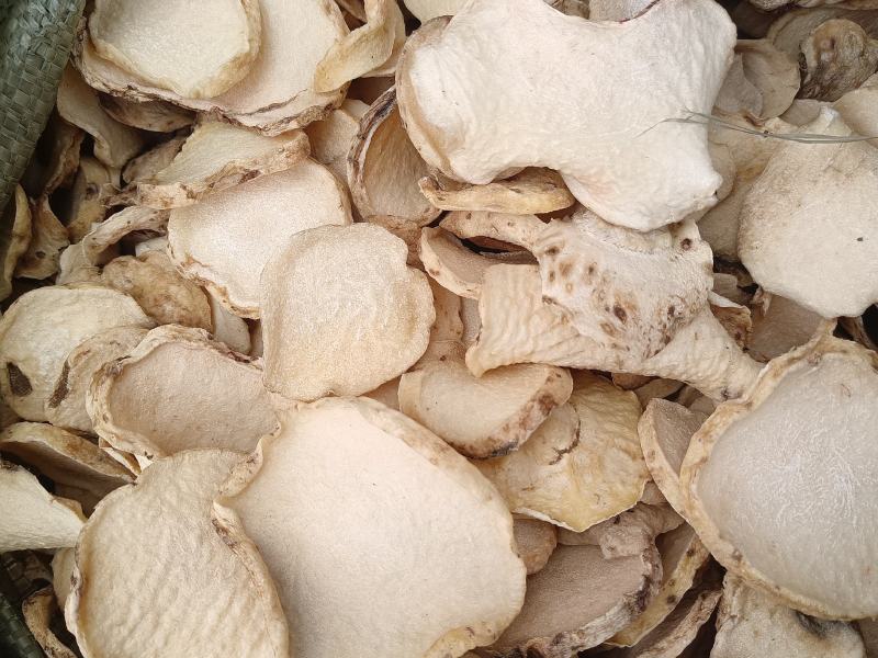 魔芋干片，魔芋精粉原料