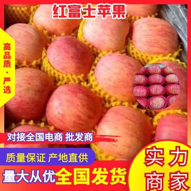 苹果，红富士苹果，果面干净口感甜脆，一手货源，保证质量。