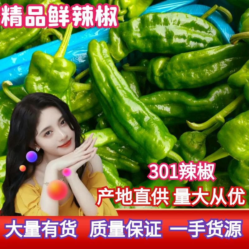 辣椒，薄皮辣椒，一手货源，产地直供，保证质量，品种多多。