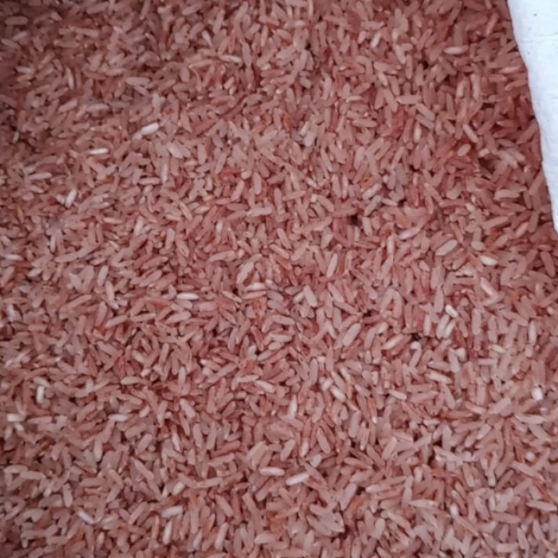 糯香的红米