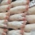 猪蹄，猪手