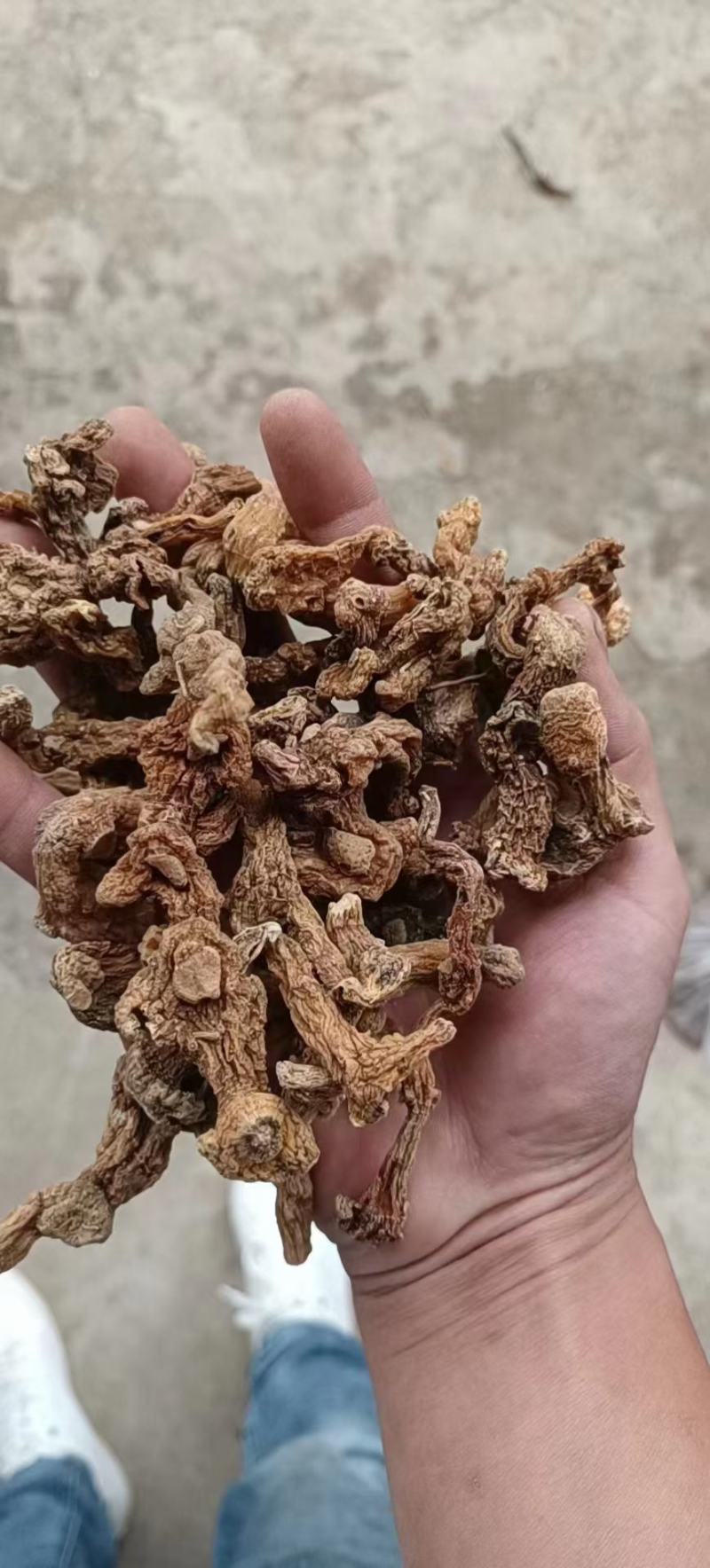 泡酒料(金枪不倒泡酒料)大量批发一手货源