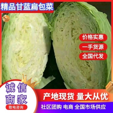 【扁包菜】甘蓝扁包菜湖北基地直供货量充足可视频看货电联