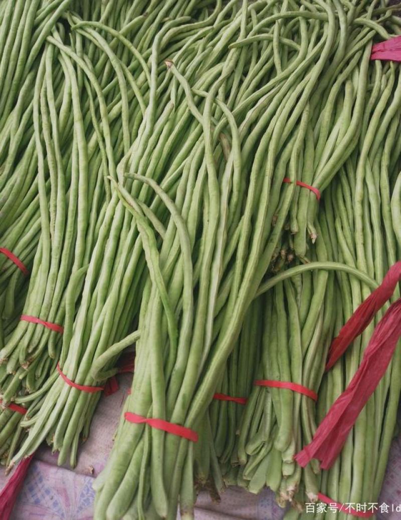 袁豇长优摘不尽长豇豆种子早中熟小叶高产耐寒厚肉型长豆角种