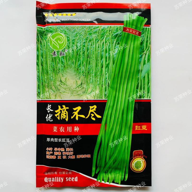 袁豇长优摘不尽长豇豆种子早中熟小叶高产耐寒厚肉型长豆角种