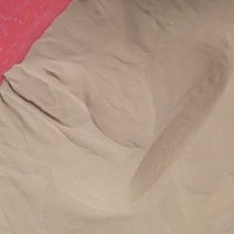 海金沙产地重庆，一手货源，货品质量好，量大价格优惠，欢迎