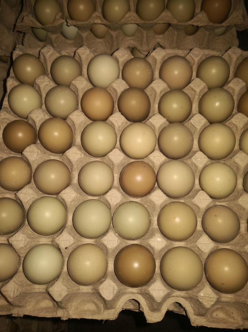 养殖场常年有货，保证质量。
