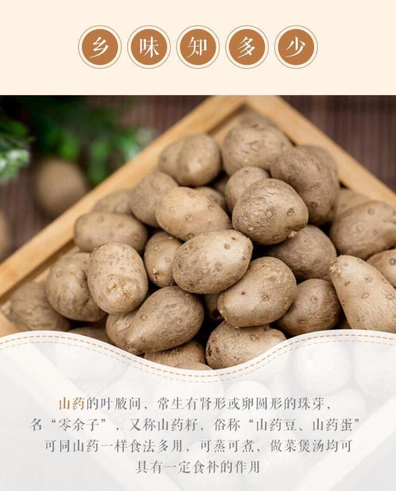 2O22现摘铁棍山药豆大号1一1O斤山药蛋新鲜山药豆批发