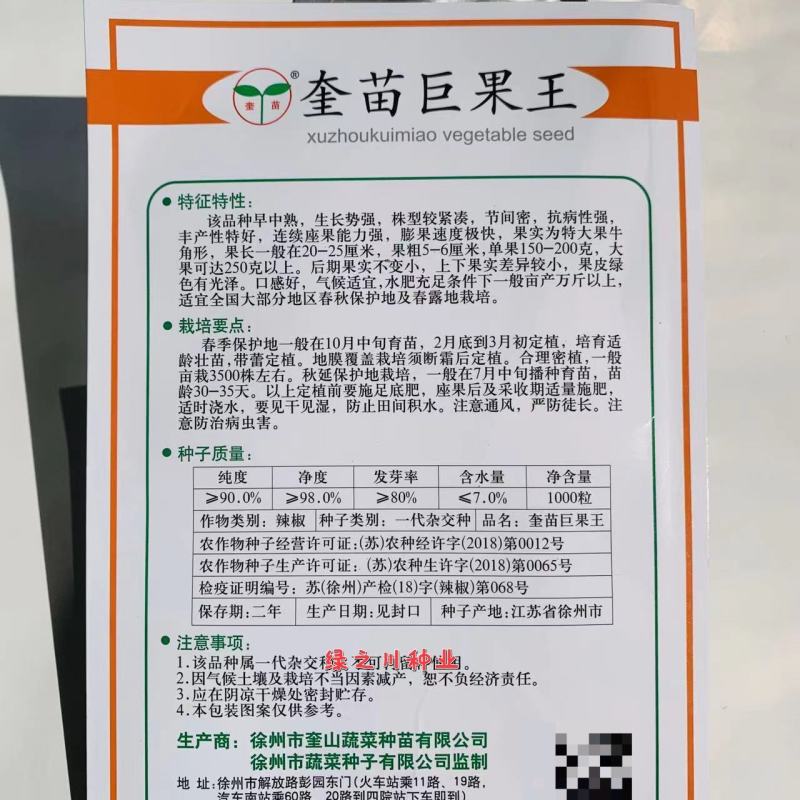 奎苗巨果王大椒特大果辣椒种子牛角椒种子果皮绿色有光泽