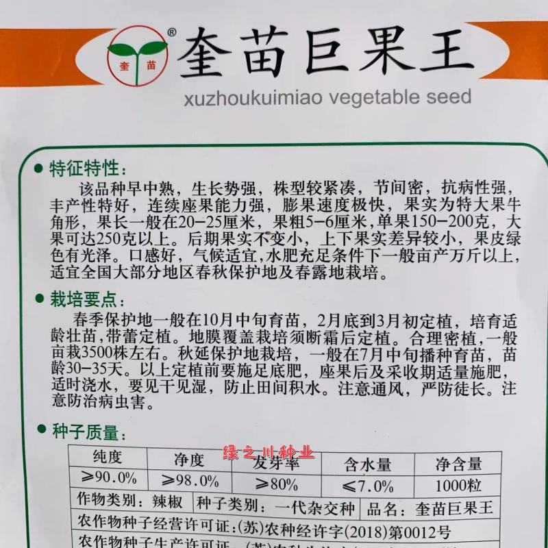 奎苗巨果王大椒特大果辣椒种子牛角椒种子果皮绿色有光泽