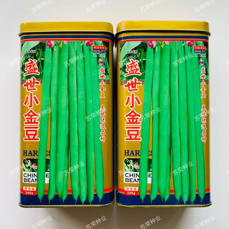 盛世小金豆种子四季豆种籽绿荚架豆角种子抗病高产春秋季蔬菜