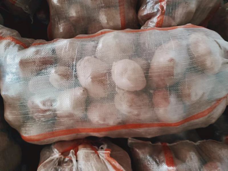 青薯9号土豆甘肃土豆定西土豆白银土豆产地直发