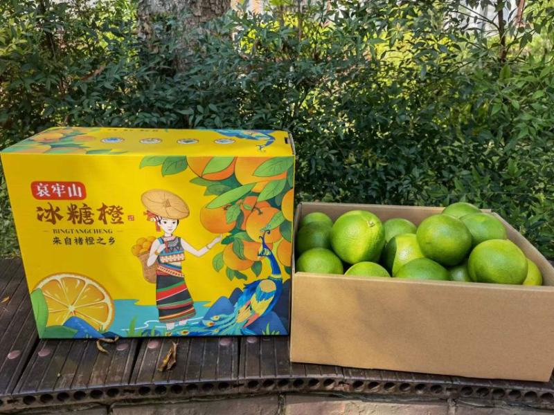 【一件代发】云南哀牢山冰糖橙3/5/9斤供应团购主播平台