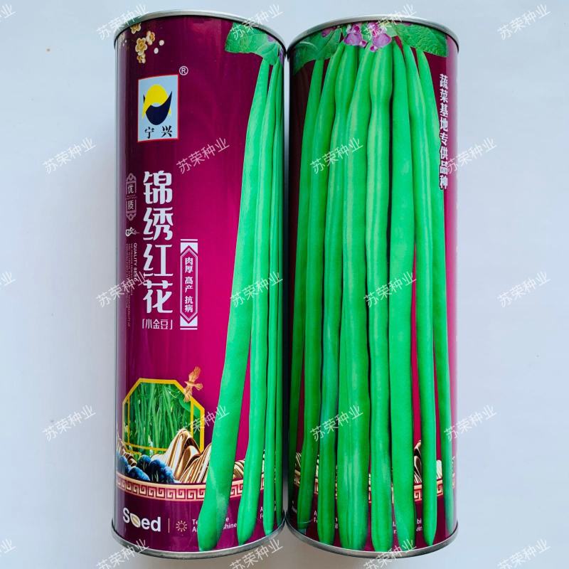 锦绣红花小金豆种子豆角芸豆种籽四季豆扁豆春季秋季蔬菜孑