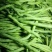 锦绣红花小金豆种子豆角芸豆种籽四季豆扁豆春季秋季蔬菜孑