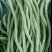 锦绣红花小金豆种子豆角芸豆种籽四季豆扁豆春季秋季蔬菜孑