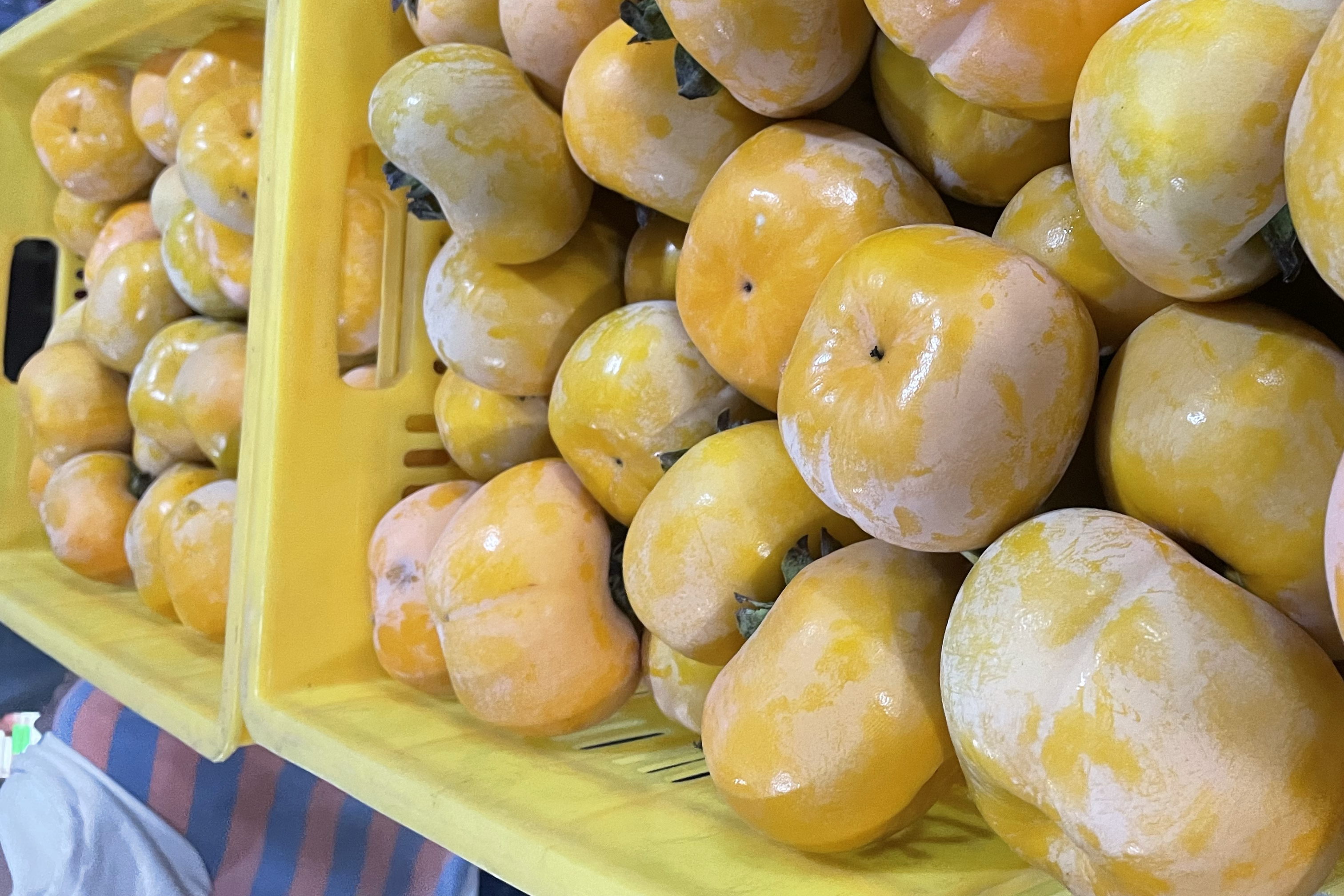 广西大秋甜柿包装与物流现场图