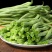 宁兴锦绣红花绿荚小金豆种子四季豆角种籽中早熟菜豆无筋架豆
