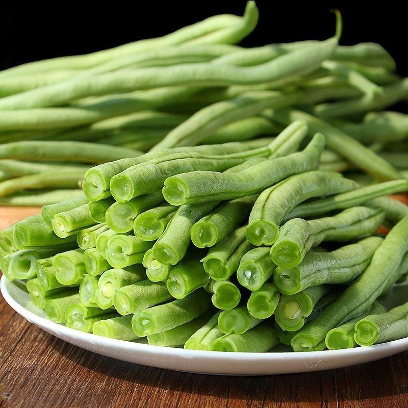 宁兴锦绣红花绿荚小金豆种子四季豆角种籽中早熟菜豆无筋架豆