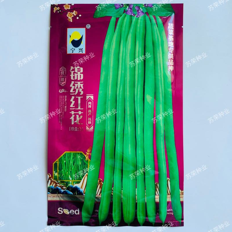 宁兴锦绣红花绿荚小金豆种子四季豆角种籽中早熟菜豆无筋架豆