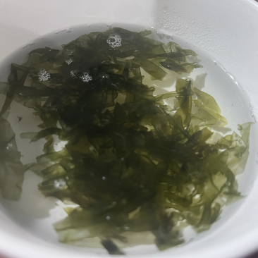 霞浦特产紫菜批发大饼菜圆菜