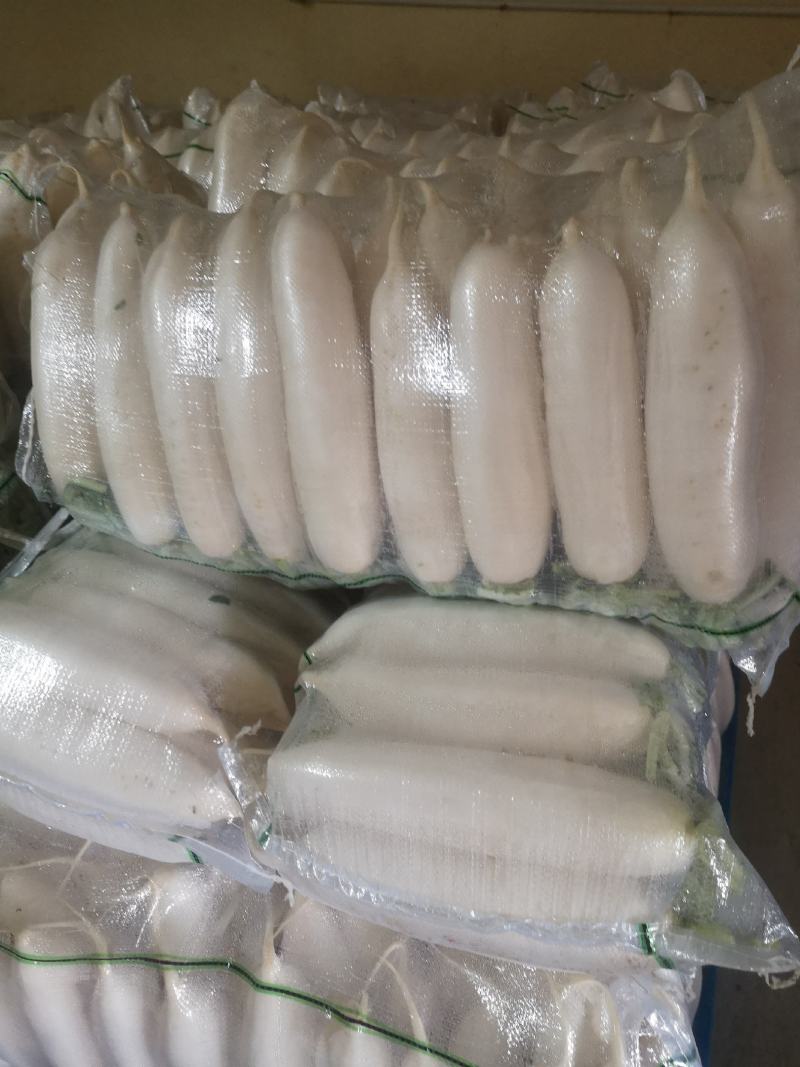 精品白罗卜大量有货有需要的联系我，产地直供