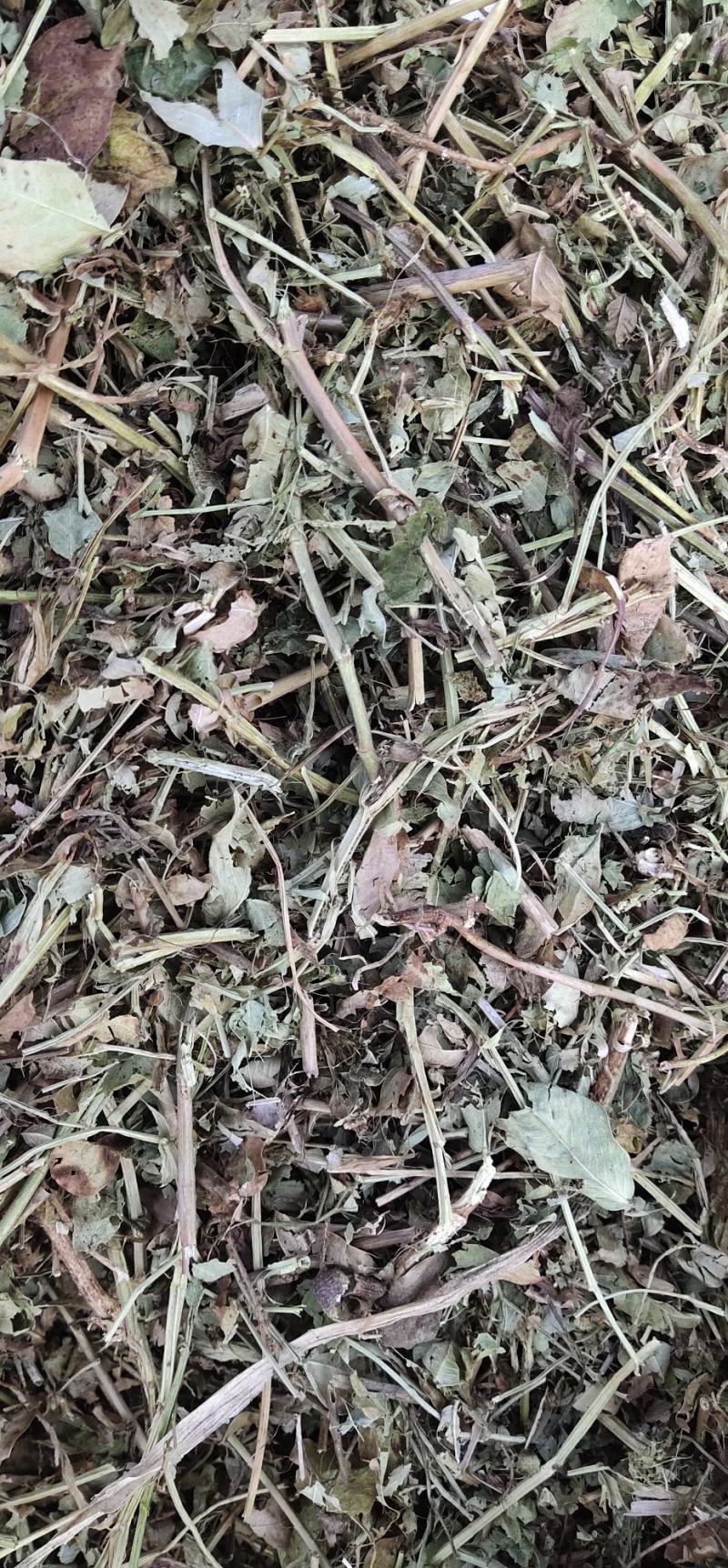 花生秧
