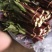 红菜苔20~30厘米