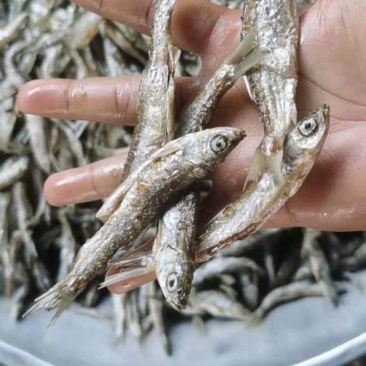 油炸小白条