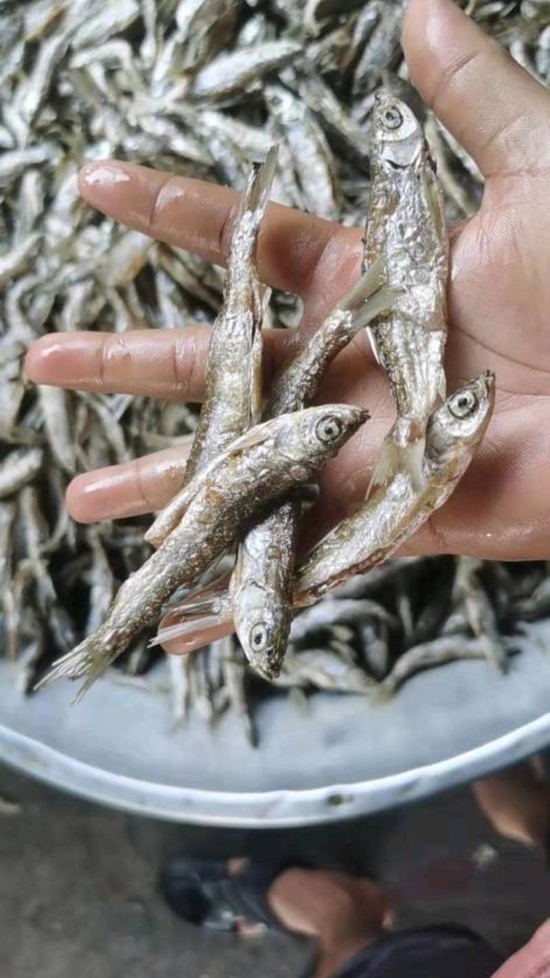 油炸小白条