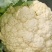 百亩大棚花菜，产地江西赣州欢迎采购。。。。
