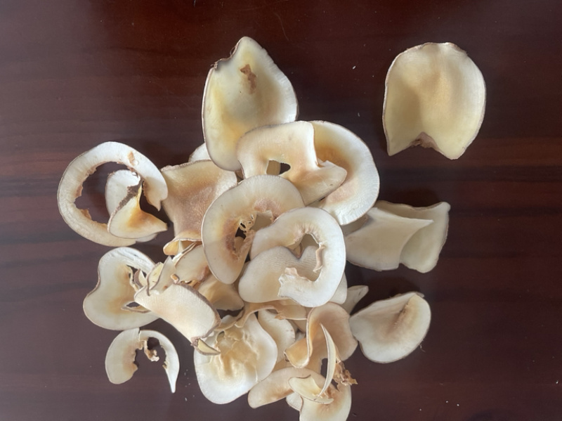 新海底椰原色海底耶片白片黄白，煲糖水煲汤，清补凉