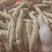 批发牛大力！新鲜牛大力！各种规格短肥牛有货！！