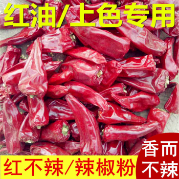 北京红益都板椒大铁皮椒红不辣干批发新疆内蒙熬油上色