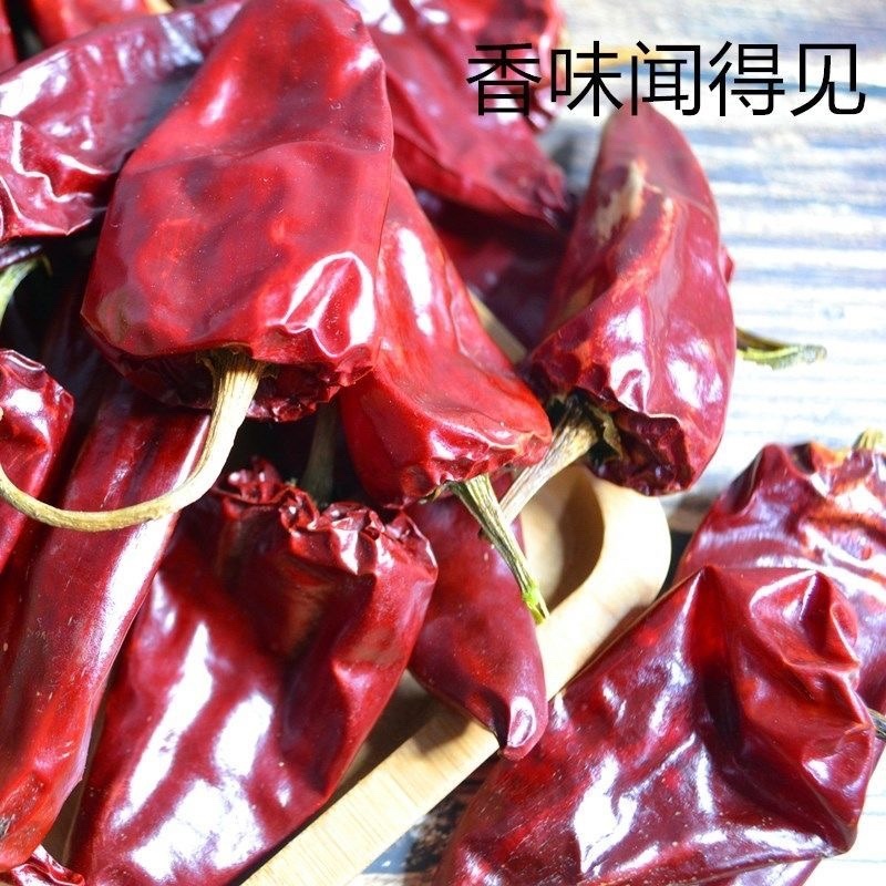 北京红益都板椒大铁皮椒红不辣干批发新疆内蒙熬油上色