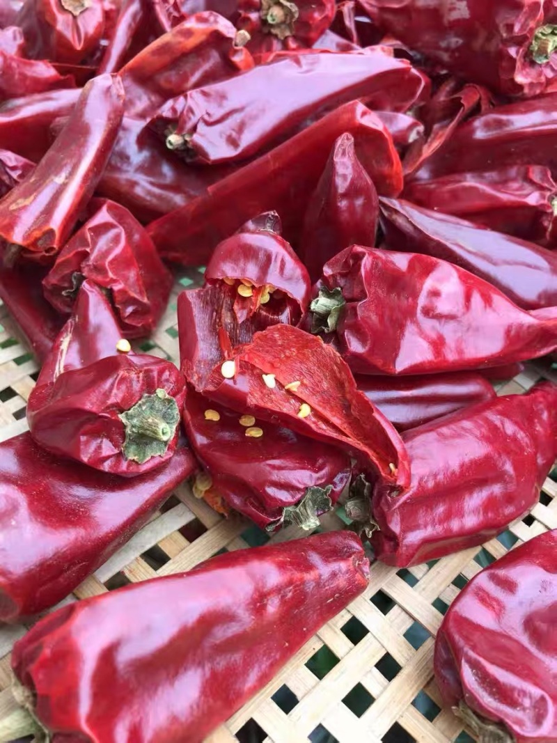 北京红益都板椒大铁皮椒红不辣干批发新疆内蒙熬油上色